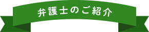 弁護士のご紹介